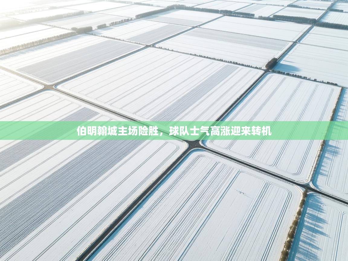 伯明翰城主场险胜，球队士气高涨迎来转机  第1张