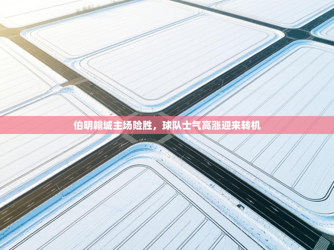 伯明翰城主场险胜，球队士气高涨迎来转机  第2张