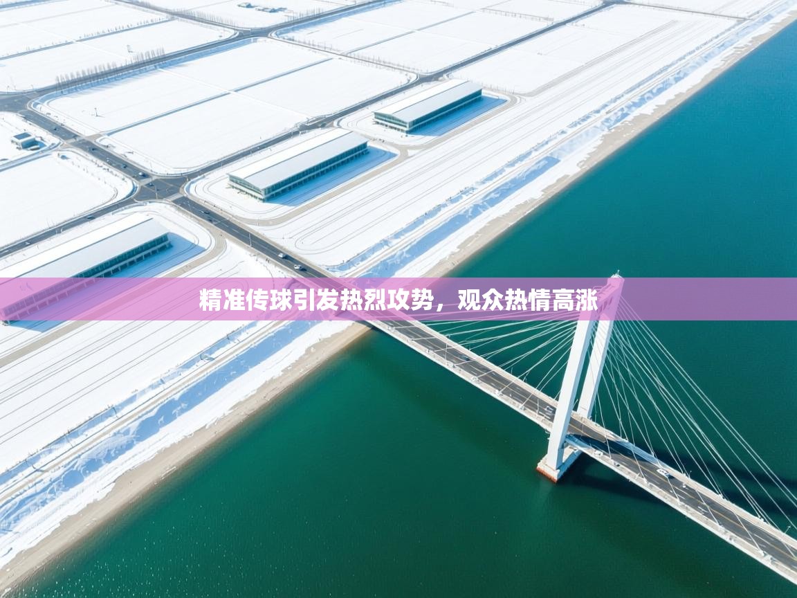 精准传球引发热烈攻势，观众热情高涨  第1张